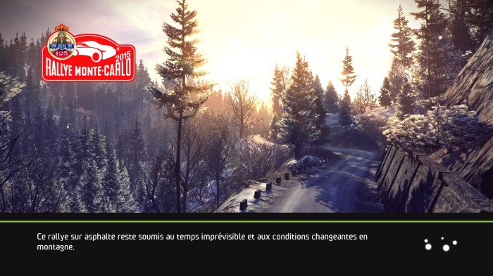 WRC 5 FIA World Rally Championship_20151220135747