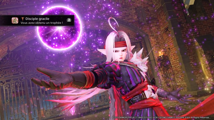 DRAGON QUEST HEROES : Le Crépuscule de l'Arbre du Monde_20160207233237