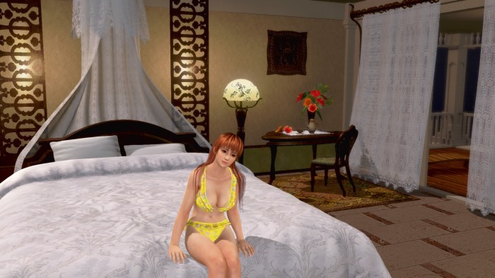 DEAD OR ALIVE Xtreme 3 Fortune