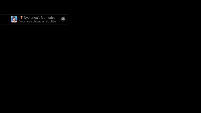 DEAD OR ALIVE Xtreme 3 Fortune_20160424110208