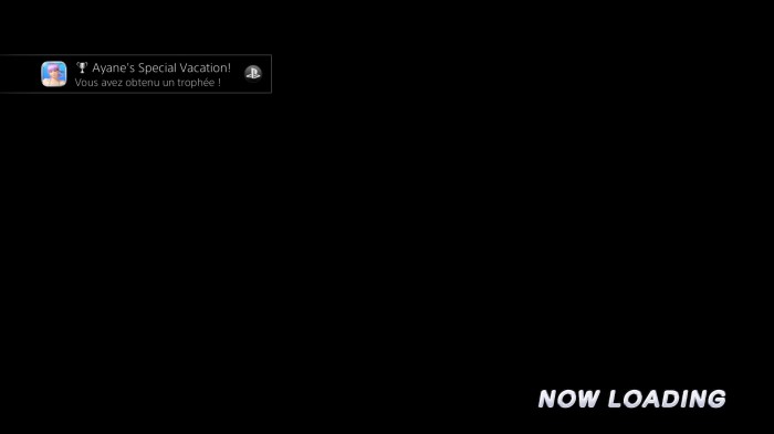 DEAD OR ALIVE Xtreme 3 Fortune_20160505104622