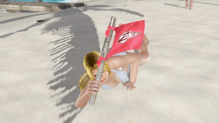DEAD OR ALIVE Xtreme 3 Fortune