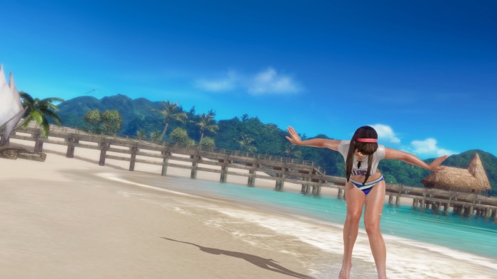 DEAD OR ALIVE Xtreme 3 Fortune