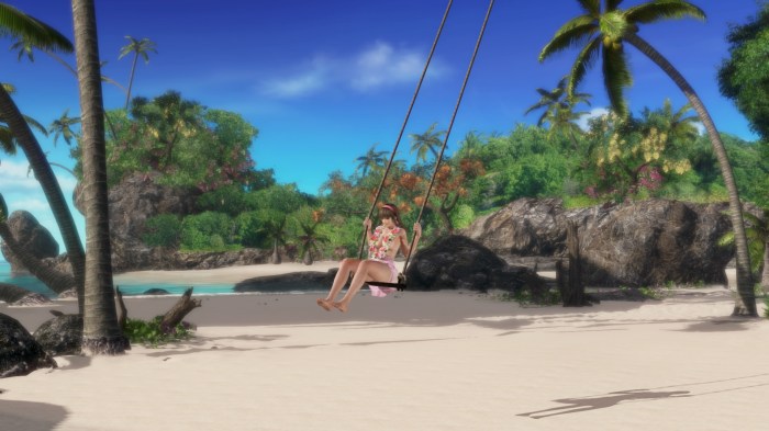 DEAD OR ALIVE Xtreme 3 Fortune