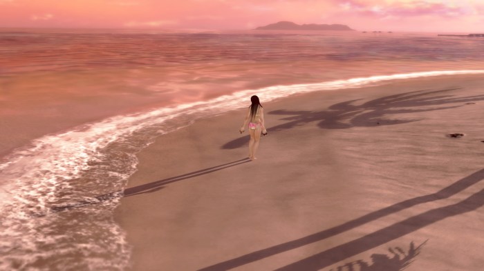 DEAD OR ALIVE Xtreme 3 Fortune