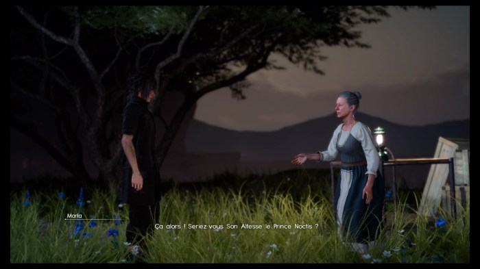 FINAL FANTASY XV_20170129170653