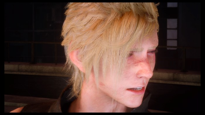 FINAL FANTASY XV_20170202171942