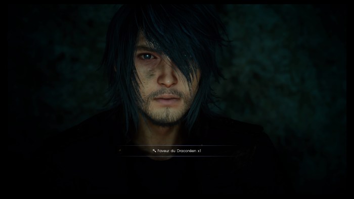 FINAL FANTASY XV_20170202181607